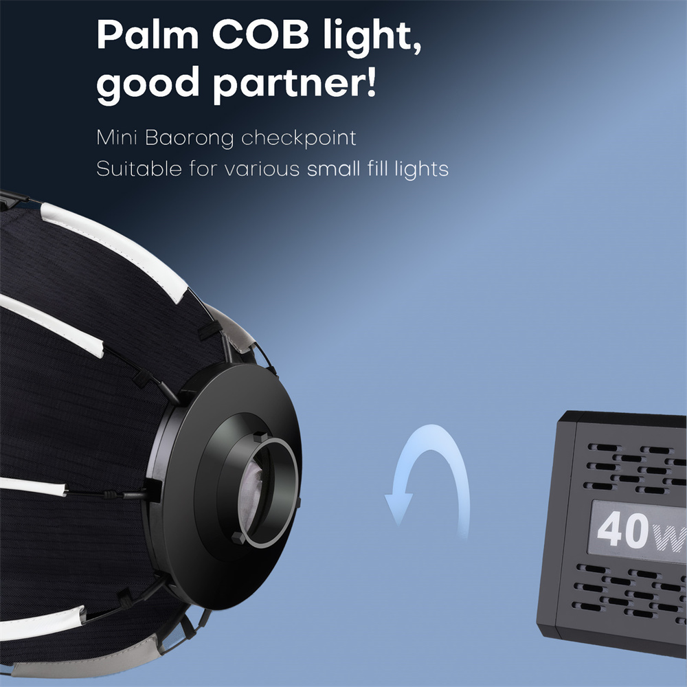 Softbox Mini Bowens Mount Lant - Photography Lighting Modifiers review and price